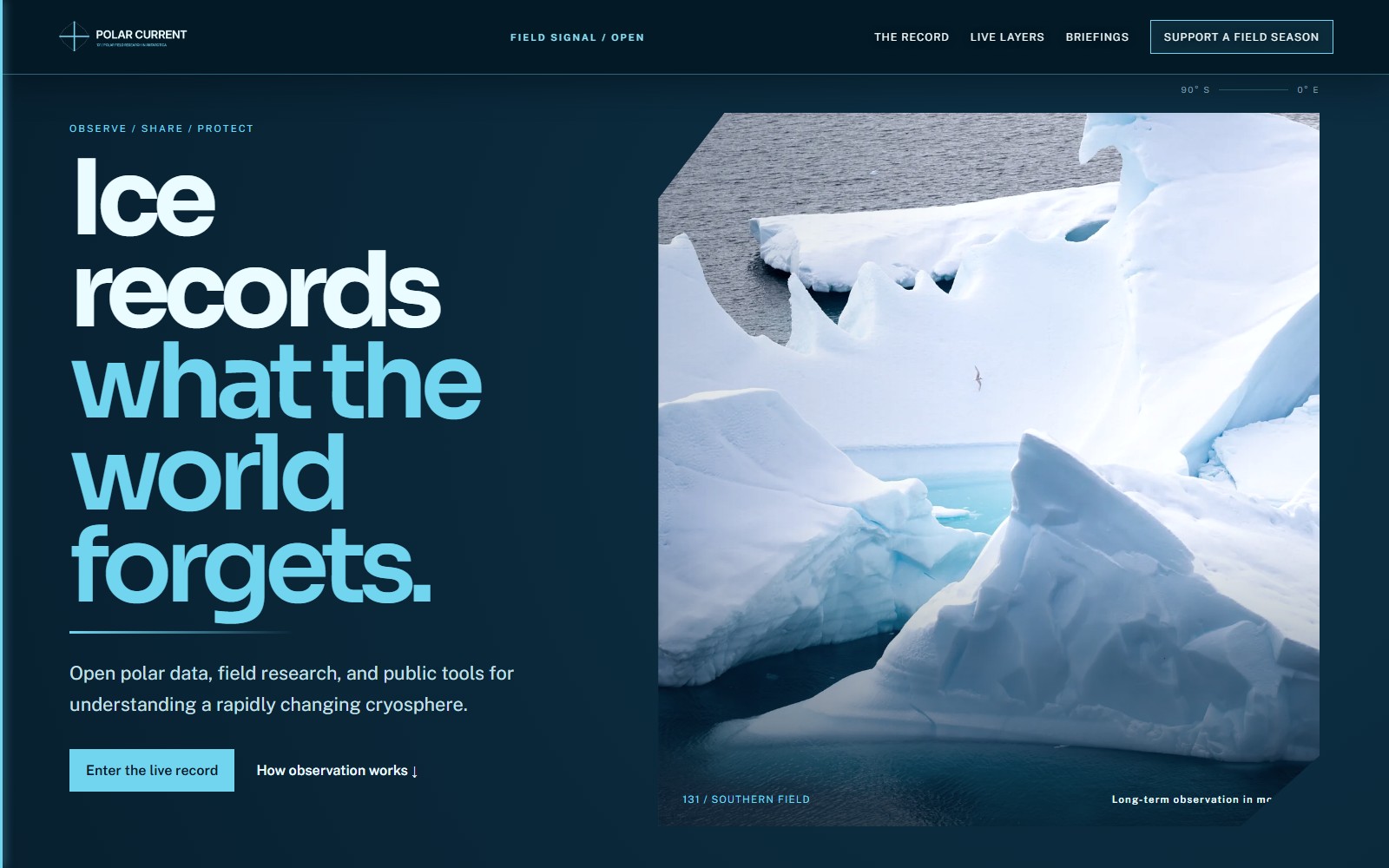 Polar Current website preview