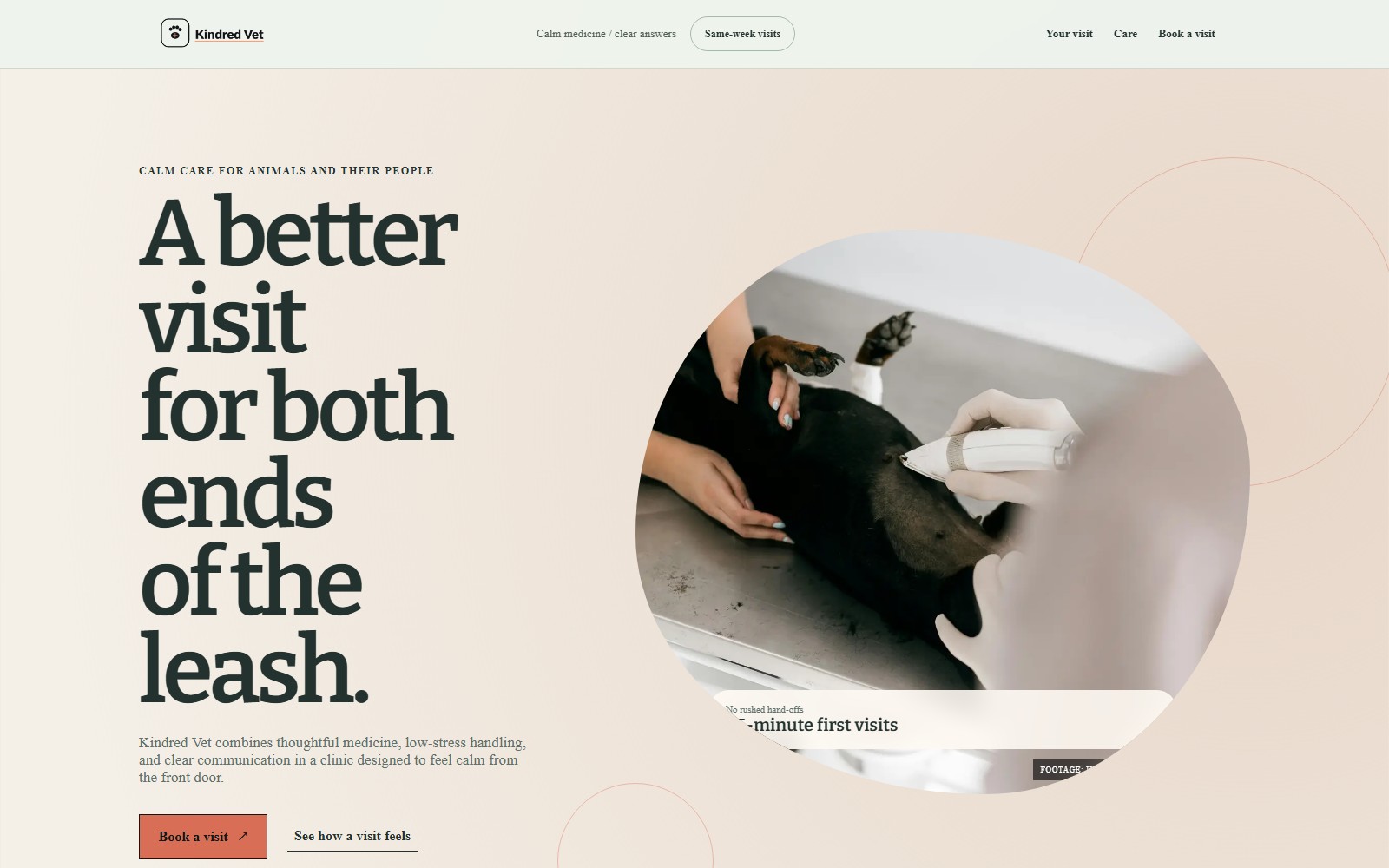 Kindred Vet website preview